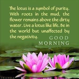 Meet your Posher, Nan